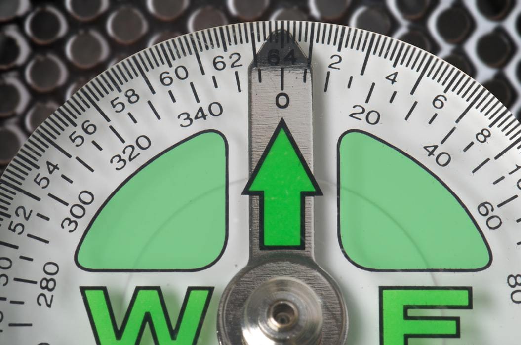Tips to get rid of belly fat post a vacation or holiday. - Roshni Sanghvi