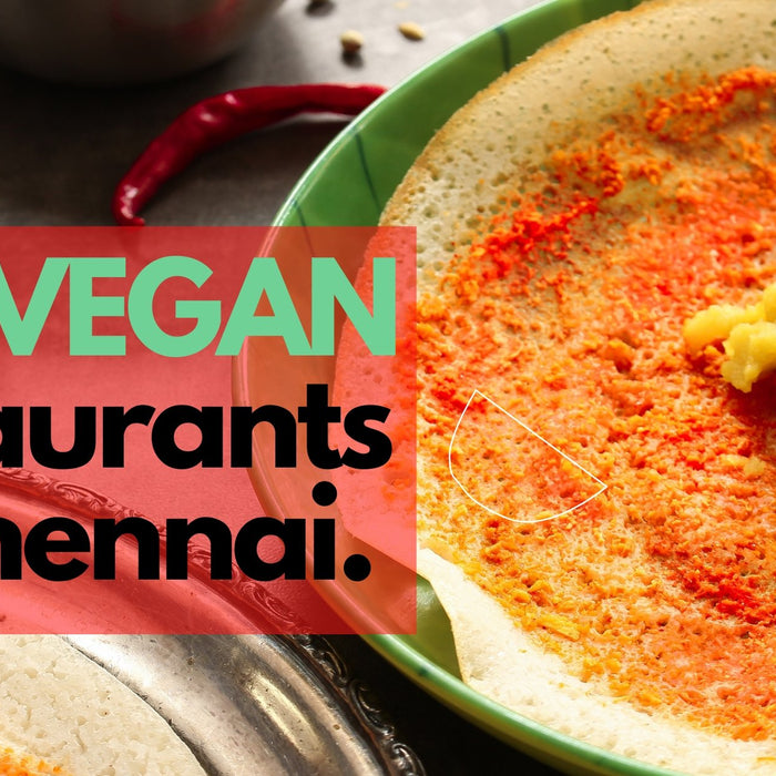 Top 8 Vegan Restaurants In Chennai You Need To Try | Roshni Sanghvi