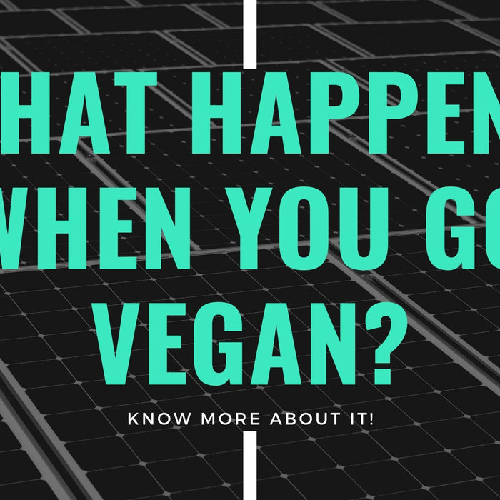 What happens when you go Vegan? | Roshni Sanghvi