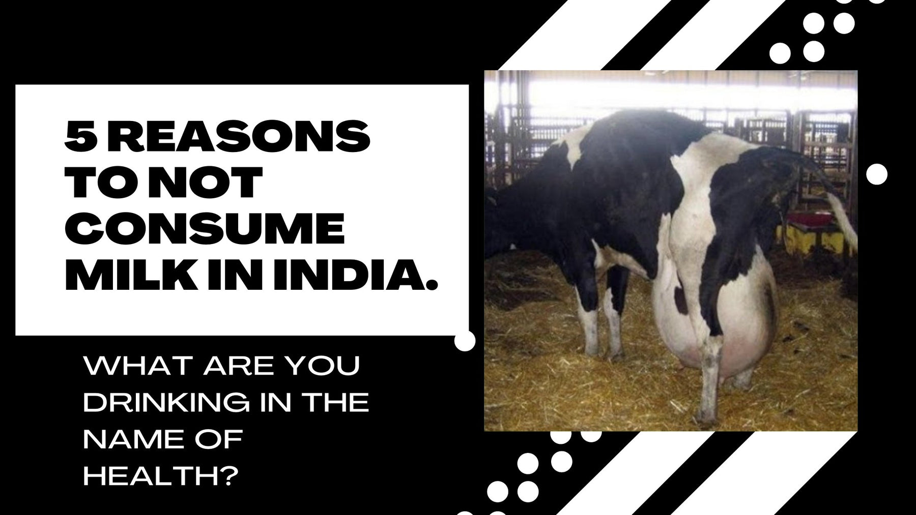 5 Reasons To Not Consume Milk In India | Roshni Sanghvi