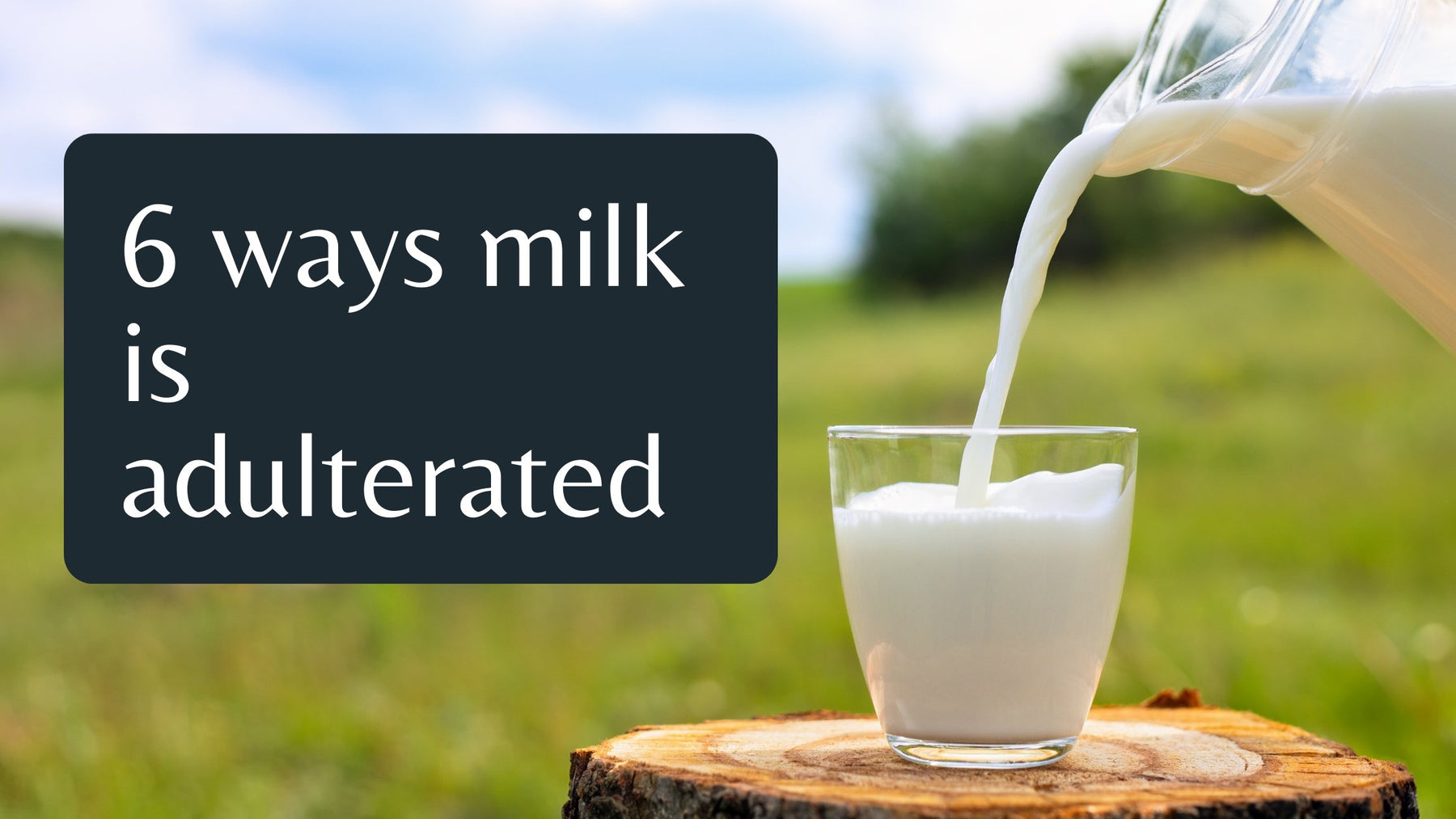 6 Ways Milk Is Adulterated - Roshni Sanghvi