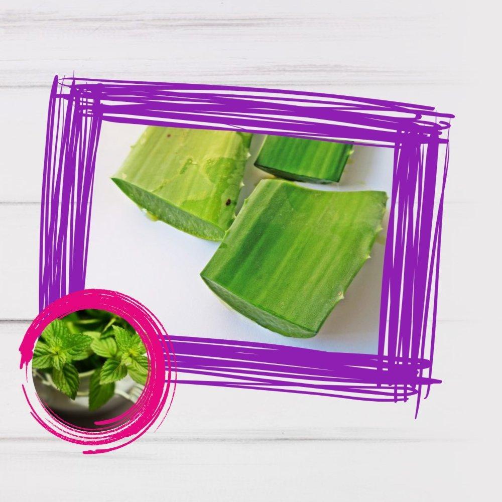 Aloe vera Cucumber Smoothie Recipe - Roshni Sanghvi