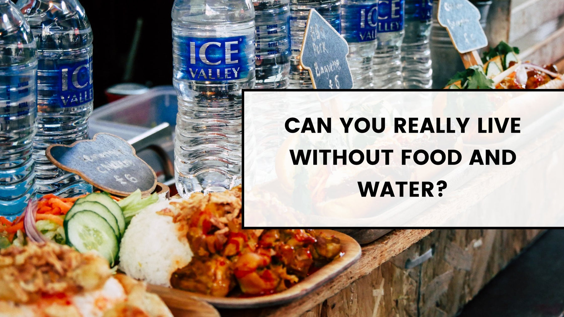 Can you really live without food AND water? | Roshni Sanghvi