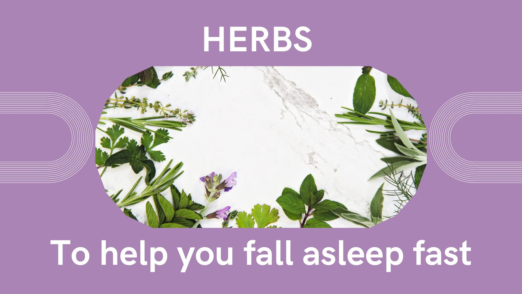 Herbs to help you fall asleep fast. | Roshni Sanghvi