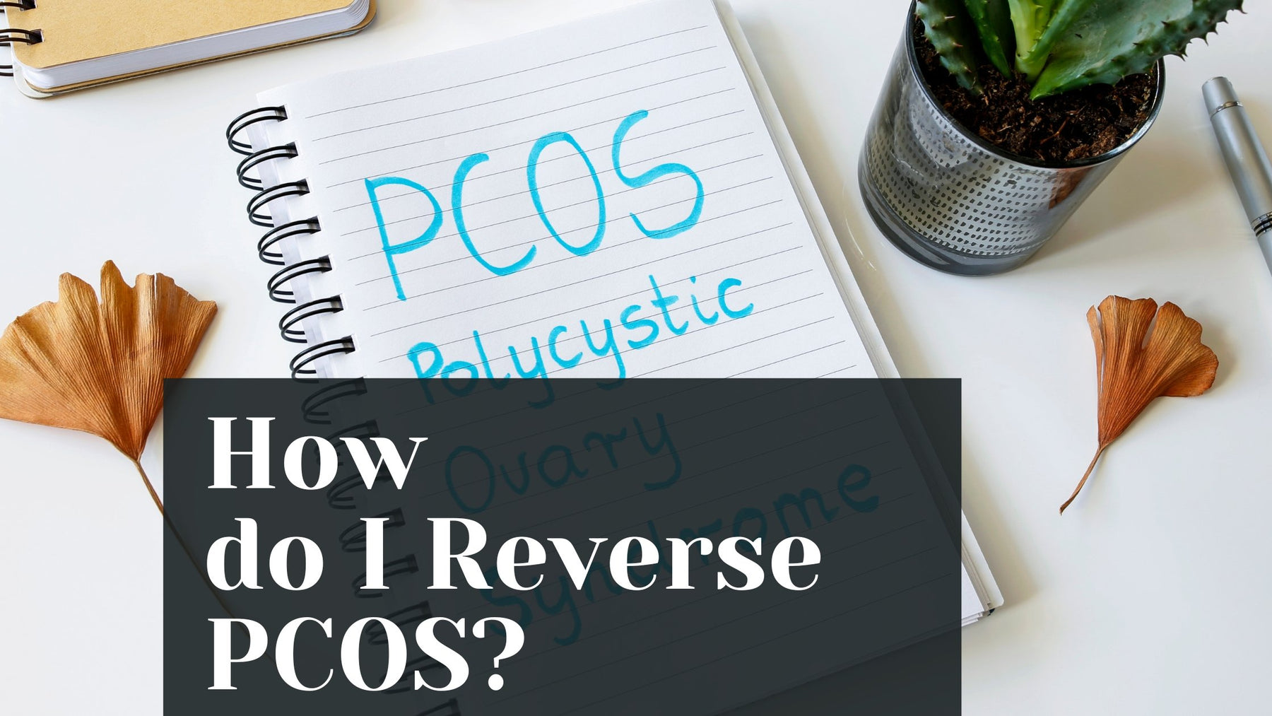 How do I Reverse PCOS? | Roshni Sanghvi