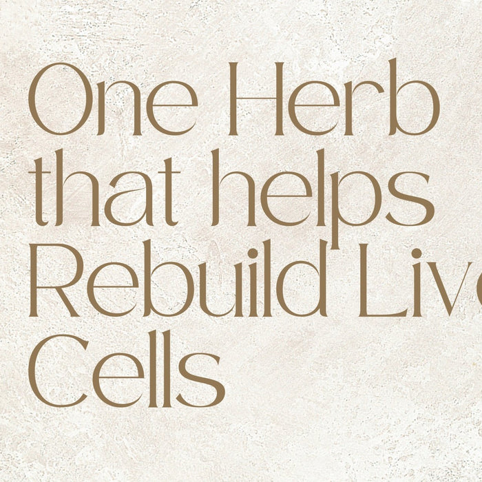 One Herb That Helps Rebuild Liver Cells | Roshni Sanghvi