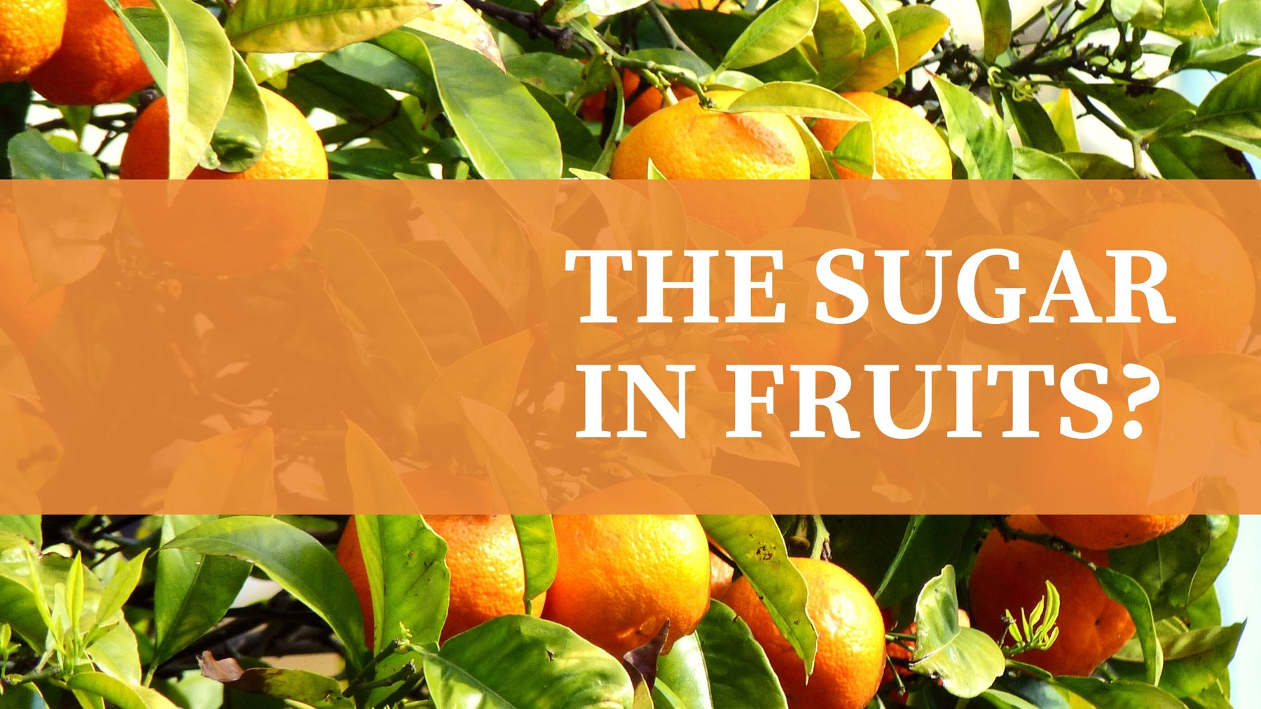 The Sugar In Fruits? | Roshni Sanghvi