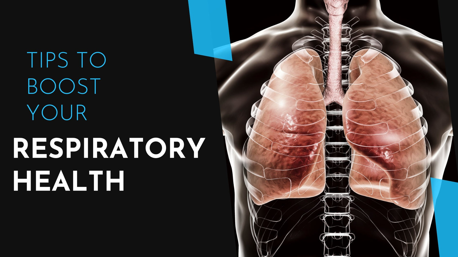 Tips to boost your respiratory health. | Roshni Sanghvi