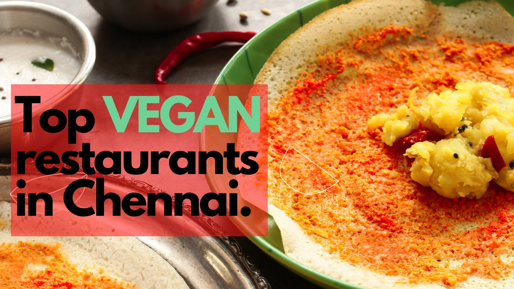 Top 8 Vegan Restaurants In Chennai You Need To Try | Roshni Sanghvi