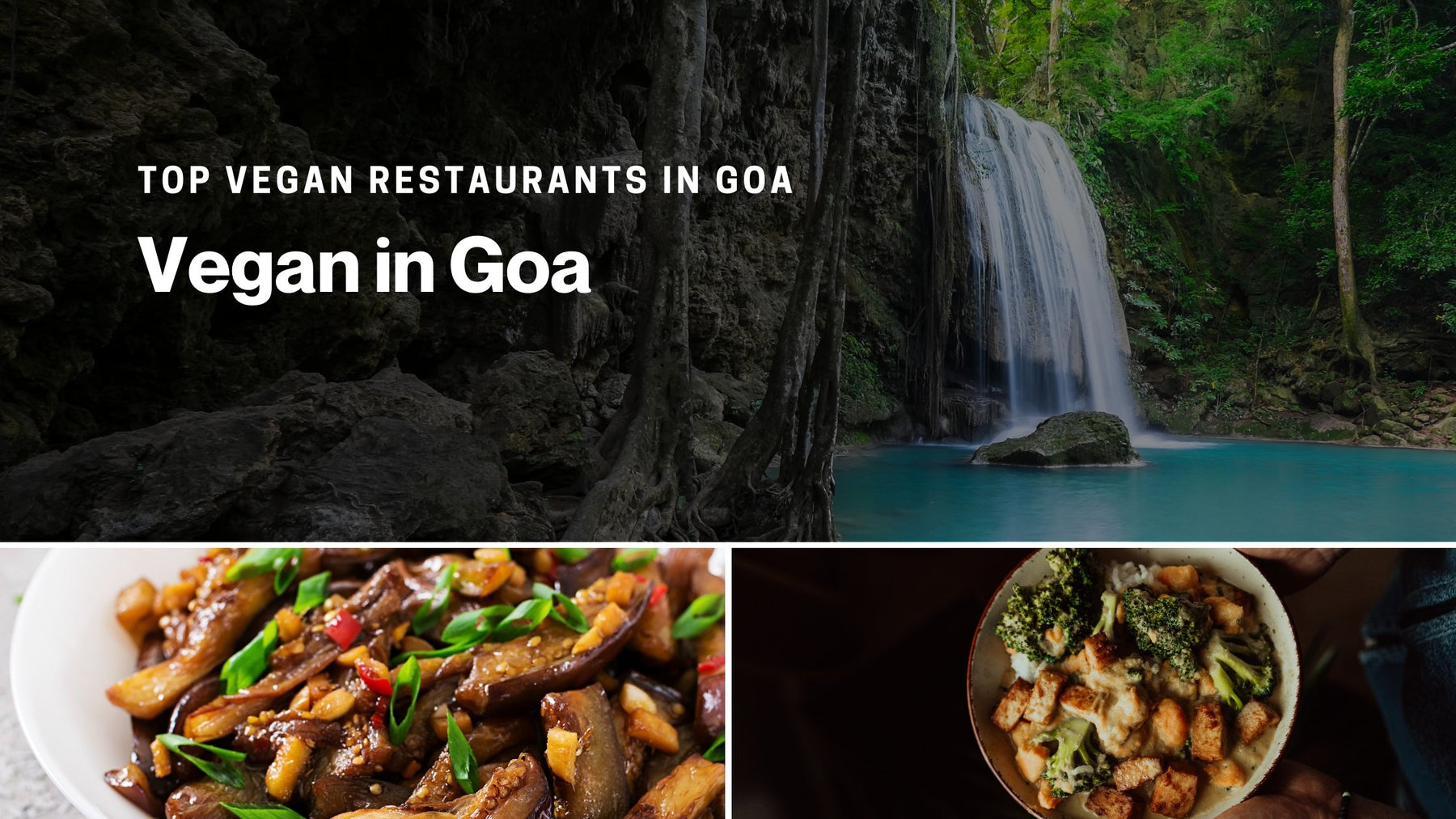 Top 12 Vegan Restaurants in Goa | Roshni Sanghvi