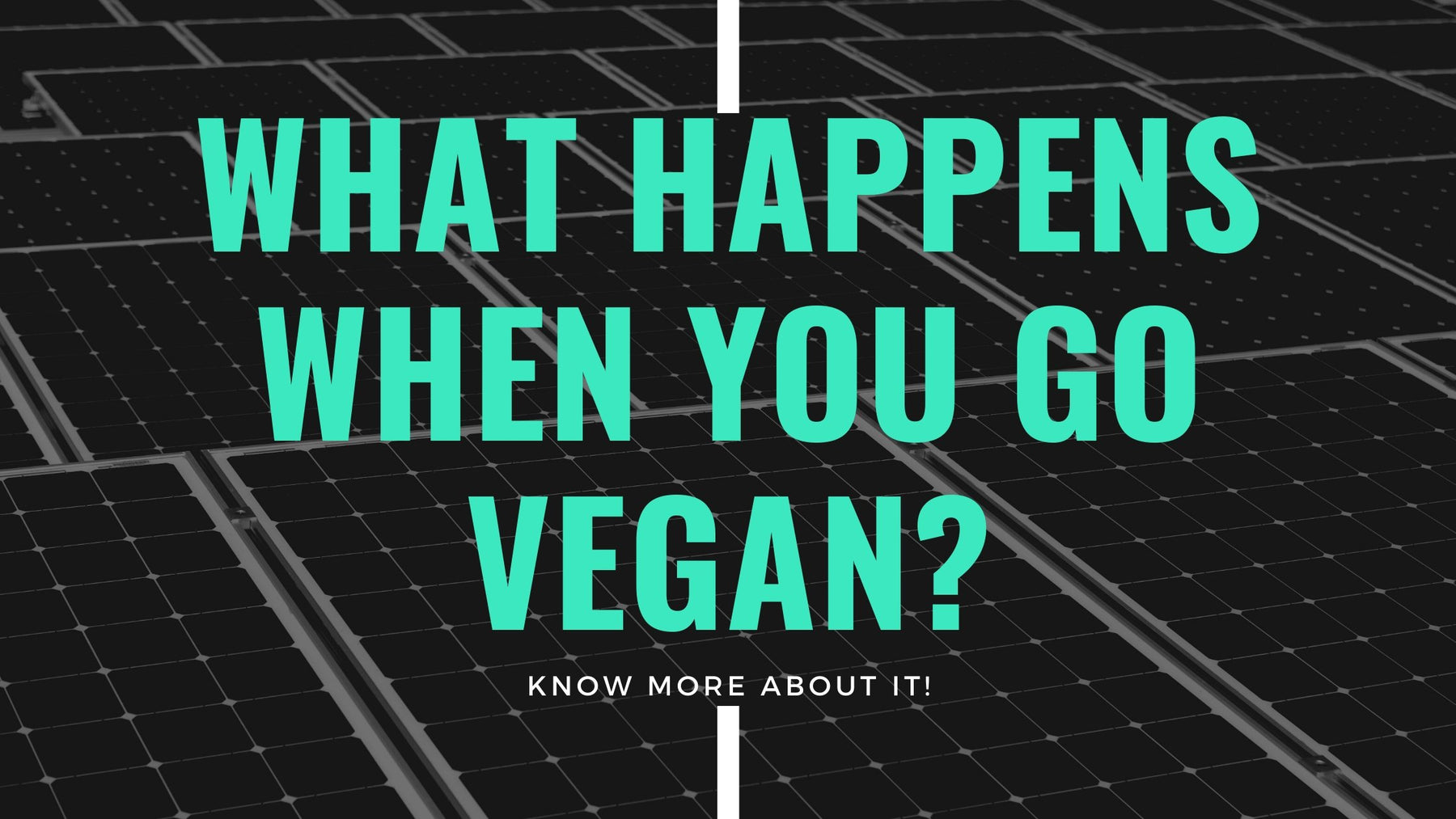 What happens when you go Vegan? | Roshni Sanghvi