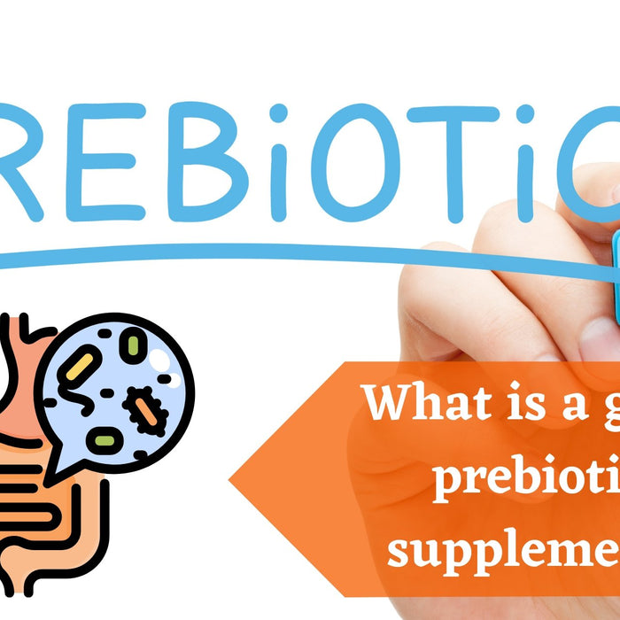 What Is A Good Prebiotic Supplement? | Roshni Sanghvi